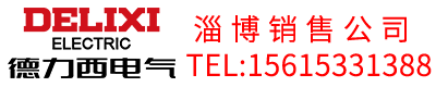 淄博德力西电气